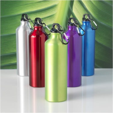 Logo trade promotional giveaways image of: Oregon 770 ml aluminium water bottle with carabiner