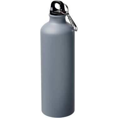 Logo trade promotional item photo of: Oregon 770 ml matte water bottle with carabiner