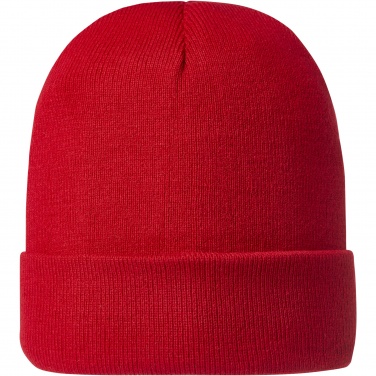 Logotrade promotional merchandise image of: Irwin beanie