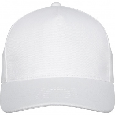 Logotrade promotional giveaway image of: Doyle 5 panel cap