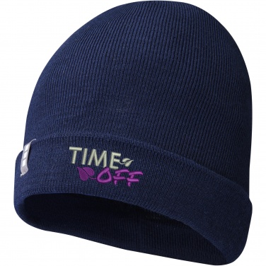 Logotrade business gift image of: Hale Polylana® beanie
