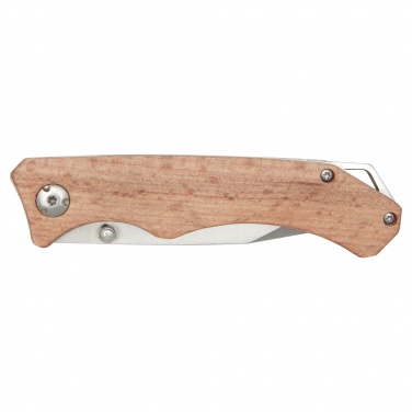 Logotrade corporate gift image of: Dave pocket knife with belt clip
