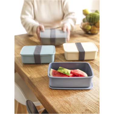 Logo trade promotional products picture of: Dovi recycled plastic lunch box
