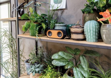 Logotrade promotional merchandise photo of: Bamboo X double speaker