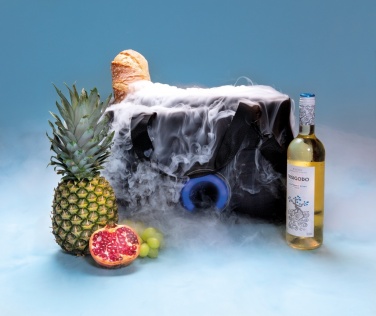 Logotrade promotional merchandise image of: Party speaker cooler bag