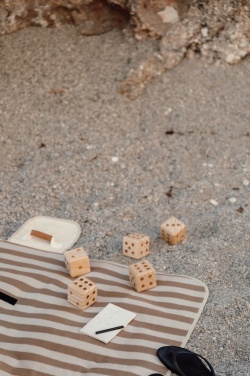 Logo trade promotional items picture of: VINGA Outdoor yacht game