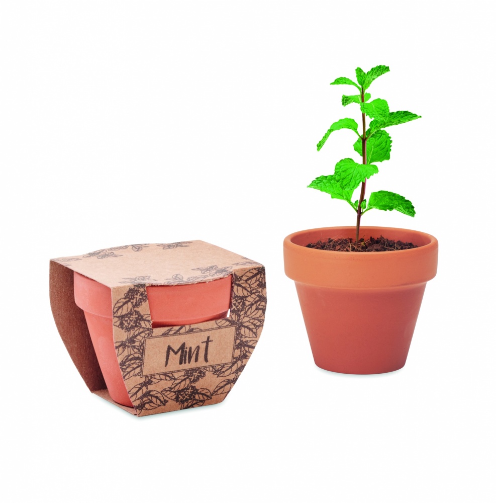 Logotrade advertising product image of: Terracotta pot mint seeds