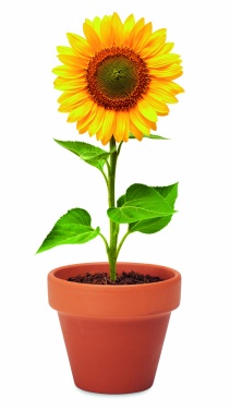 Logotrade promotional giveaways photo of: Terracotta pot 'sunflower'