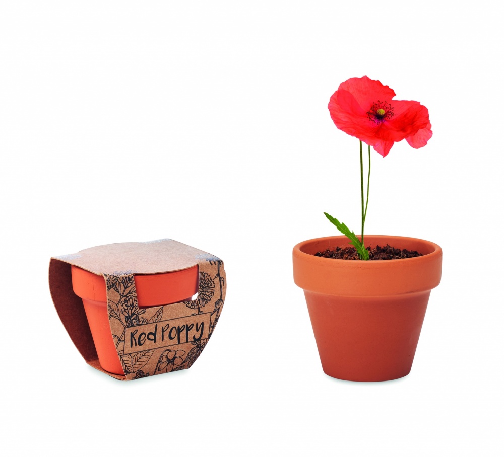 Logotrade business gift image of: Terracotta pot 'poppy'