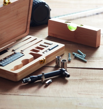 Logotrade promotional merchandise image of: 21 pcs tool set in bamboo case