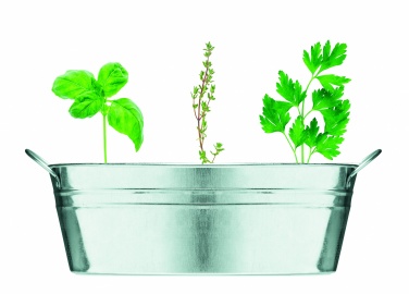 Logotrade promotional item image of: Zinc tub with 3 herbs seeds
