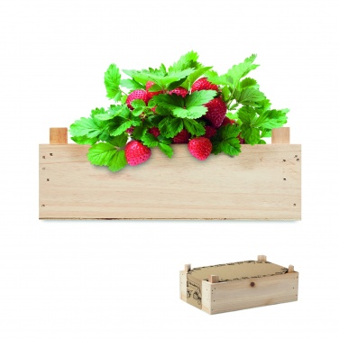 Logo trade promotional giveaway photo of: Strawberry kit in wooden crate