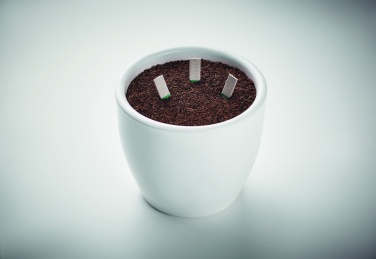 Logotrade promotional merchandise picture of: Herb seeds sticks