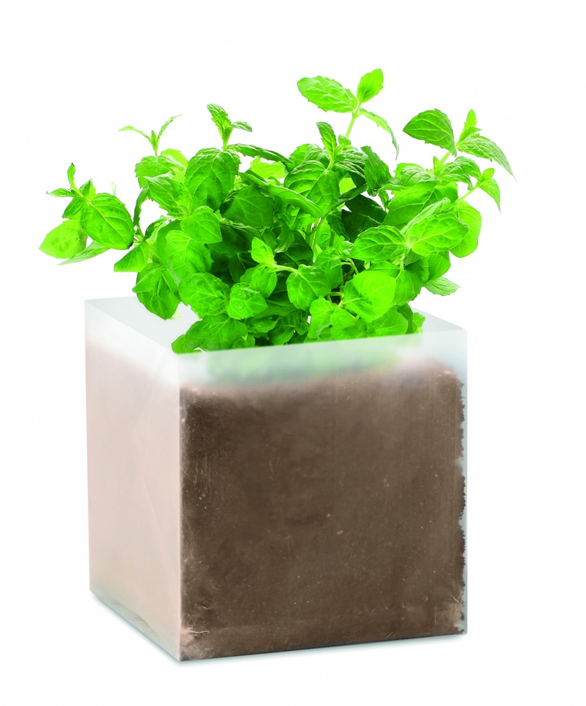 Logo trade promotional merchandise picture of: Compost with seeds "MINT"