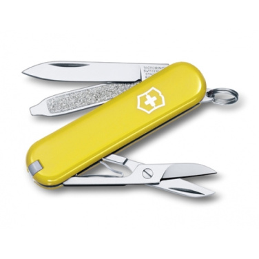 Logo trade promotional merchandise picture of: Pocket knife CLASSIC SD Victorinox
