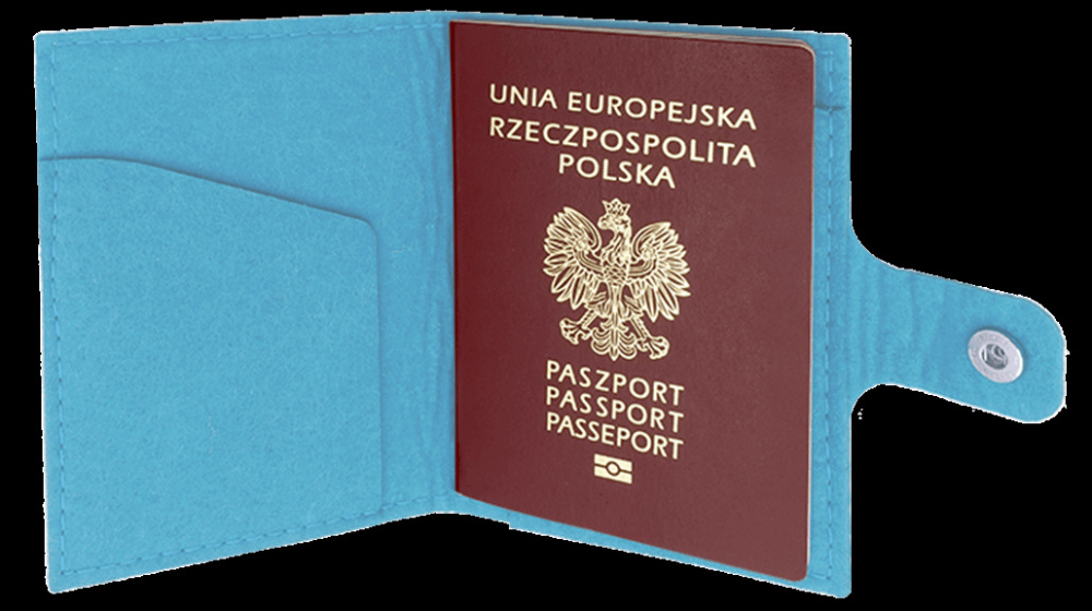 Logotrade promotional gifts photo of: Passport case 84106200