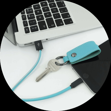 Logo trade promotional giveaway photo of: Keyring 59612900