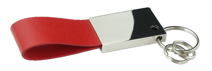 Logo trade promotional items picture of: Keyring 909119