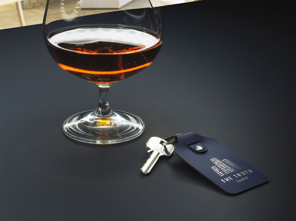 Logo trade promotional gifts image of: Keyring 1200094