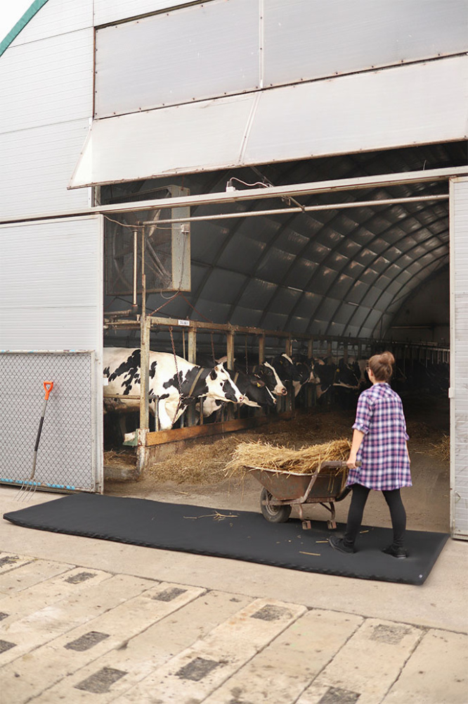 Logotrade promotional products photo of: Transit disinfection mat 120x600x4cm 1365087