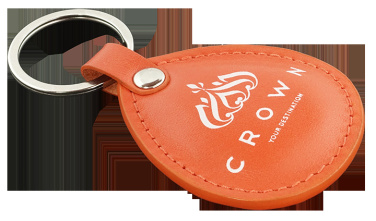 Logo trade promotional giveaways picture of: Keyring 573131