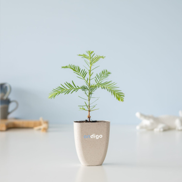 Logotrade promotional gift picture of: Treemore Letterbox Trees Giant Sequoia