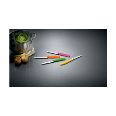 Logo trade promotional gifts image of: Victorinox Swiss Classic table knife