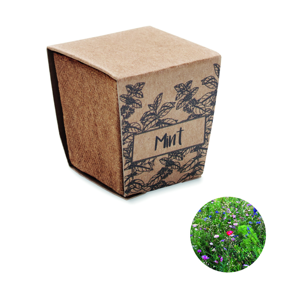 Logotrade promotional gift image of: Mint seeds growing kit
