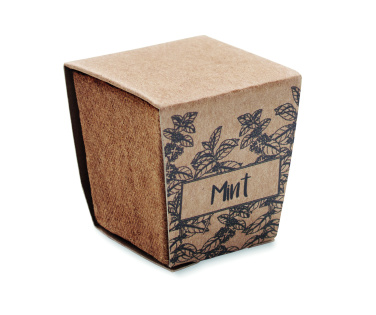 Logotrade promotional item picture of: Mint seeds growing kit