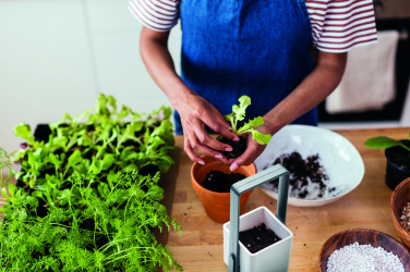 Logotrade corporate gifts photo of: Indoor garden with LED light