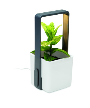 Logotrade corporate gift picture of: Indoor garden with LED light