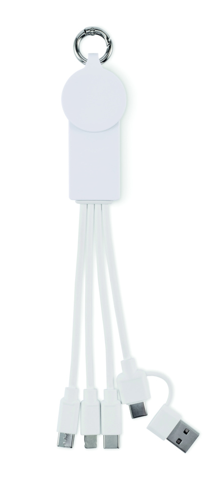 Logotrade promotional item image of: 2 in 1 charging cable type-C