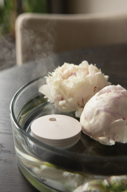 Logotrade promotional giveaway picture of: Breevia RCS rplasic re-chargeable floating humidifier