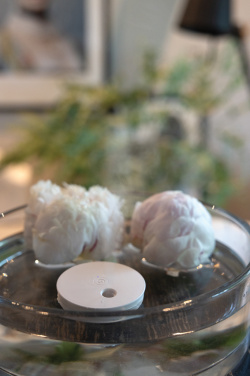 Logotrade promotional merchandise image of: Breevia RCS rplasic re-chargeable floating humidifier