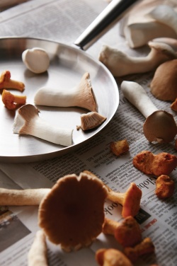 Logo trade ärikingi pilt: VINGA Vici välipann