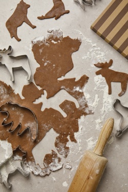 Logo trade meene pilt: VINGA Nordic big 5 küpsisevormi 5-osaline komplekt