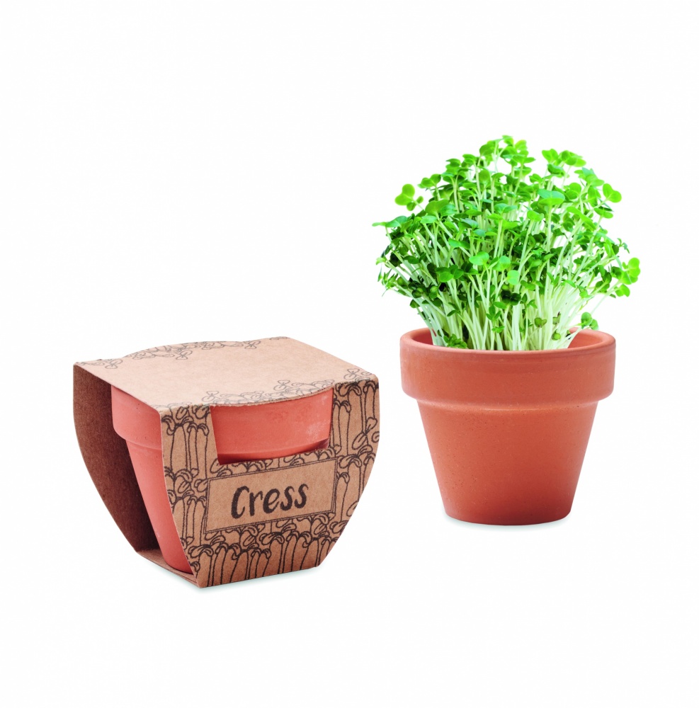 Logotrade firmakingitused pilt: Terrakota potikressi seemned