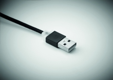 Logotrade firmakingid pilt: USB-tüüpi C-kaabliga võtmehoidja Salaspils