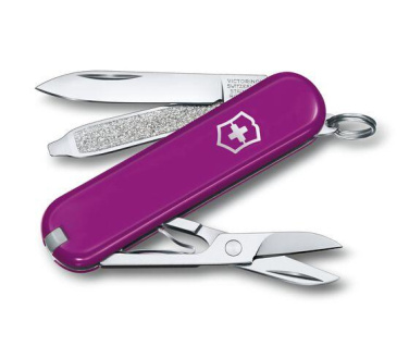Logo trade reklaamkingitused foto: Taskunuga CLASSIC SD Victorinox