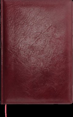 Logotrade reklaamkingi foto: Kalendermärkmik 645131