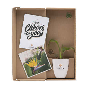 Logo trade meene pilt: Treemore Letterbox Trees Paradiisilinnu taim