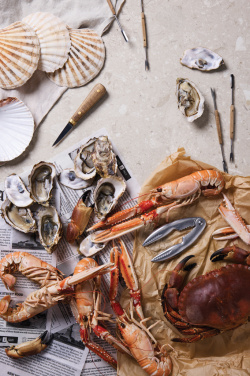 Logo trade reklaamkingitused foto: VINGA "Story of Seafood" mereannikomplekt