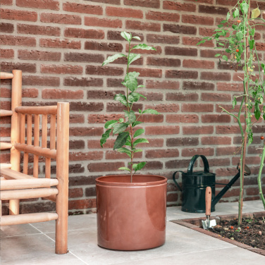 Logotrade liikelahja tuotekuva: Treemore Letterbox Trees Teekasvi