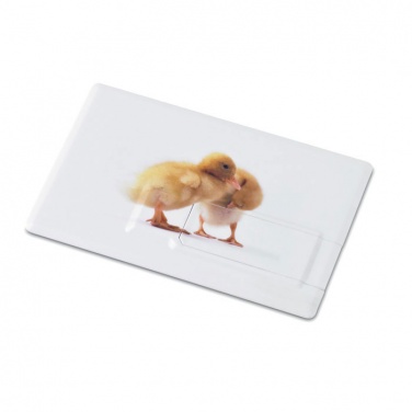 Logotrade korporatīvās dāvanas foto: Kredītkarte. USB zibatmiņa 32GB